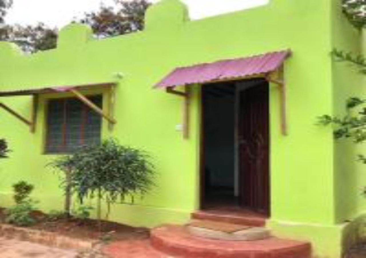 Magharibi House Apartment Nungwi Luaran gambar